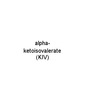 alpha-ketoisovalerate (KIV)